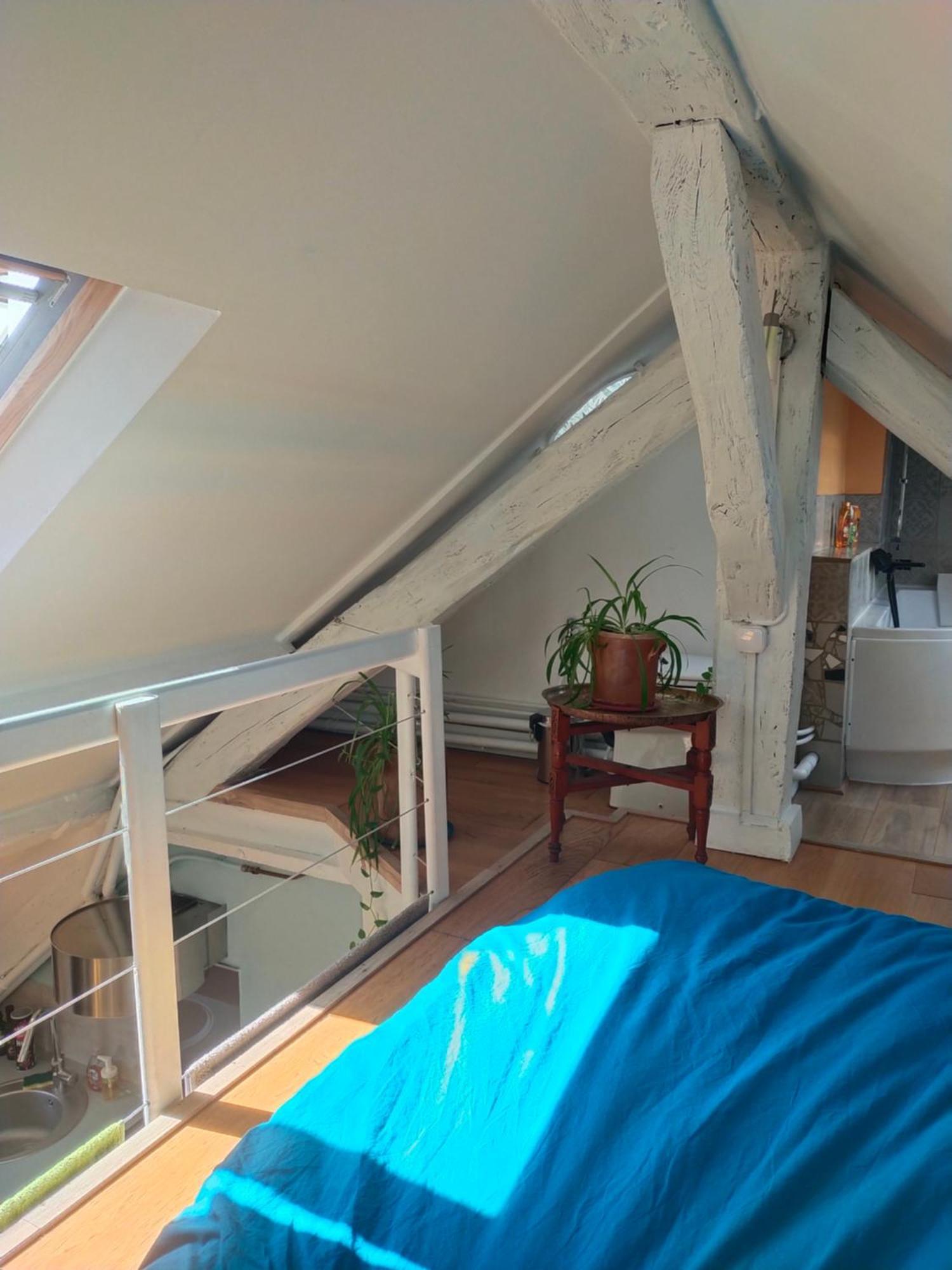 Studio Sous Les Toits Et Mezzanine - Vincennes Zewnętrze zdjęcie