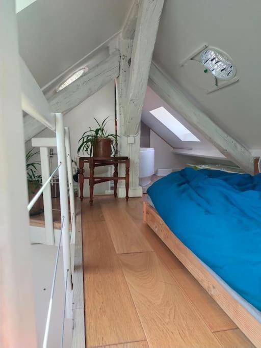 Studio Sous Les Toits Et Mezzanine - Vincennes Zewnętrze zdjęcie