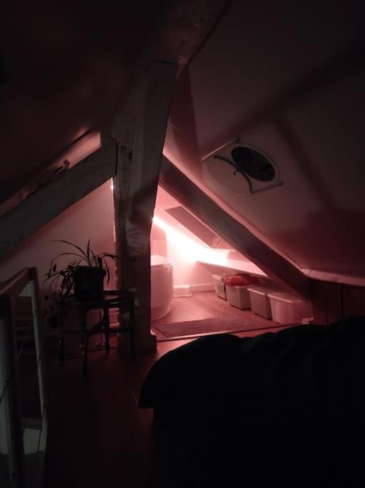 Studio Sous Les Toits Et Mezzanine - Vincennes Zewnętrze zdjęcie